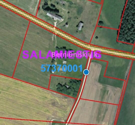 Žemės ūkio paskirties sklypai Berniūniškių k., Kupiškio r.