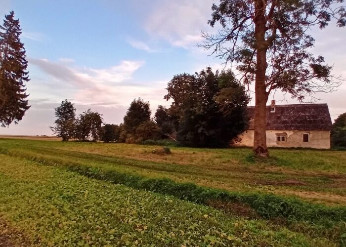 Parduodama unikali molinė sodyba Mėdginų k., Joniškio r.